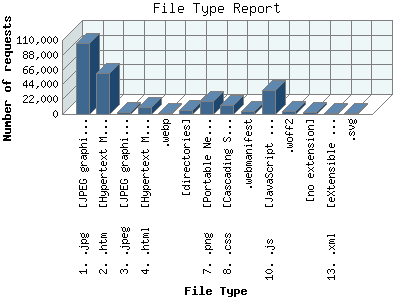 File Type Report: Number of requests by File Type.